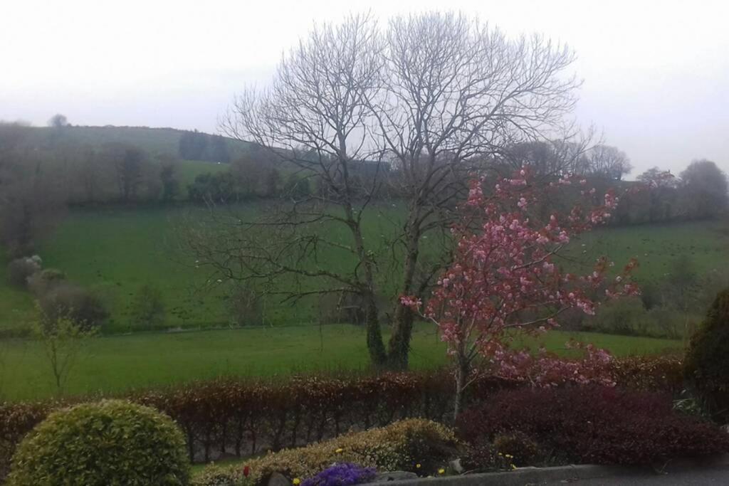 Drumgowan House Donegal Town Bagian luar foto